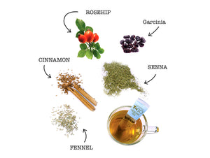 TGO Healthy Tea Ingredients